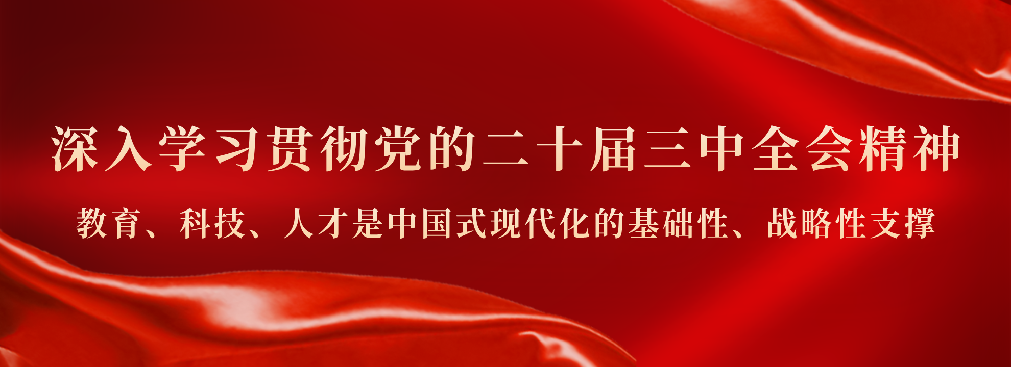 大图4